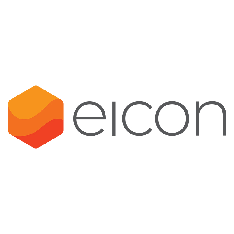 Eicon | Soluções em Gestão Pública de Saúde, Educação, Finanças e ...